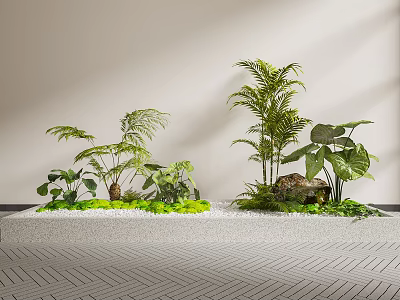 Lush Indoor Landscape Featuring Fern Palm And Monstera Plants With Green Moss And Pebbles 3d model
