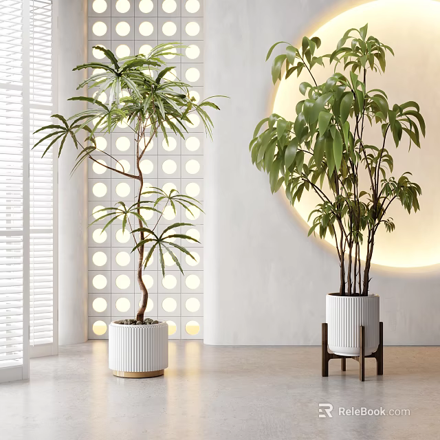 Indoor Large Green Plants in Decorative White Pots with Modern Lighting 3d model 