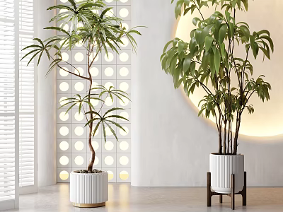 Indoor Large Green Plants in Decorative White Pots with Modern Lighting 3d model