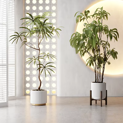 Indoor Large Green Plants in Decorative White Pots with Modern Lighting 3d model