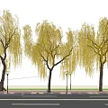 Weeping Willows With Yellow Leaves Along Roadside Blue Sky White Wall Street Lamps And Sidewalk