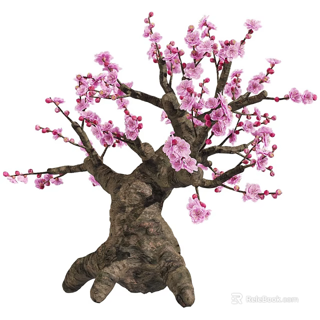 Elegant Ornamental Tree With Pink Blossoms And Thick Gnarled Trunk 3d model 
