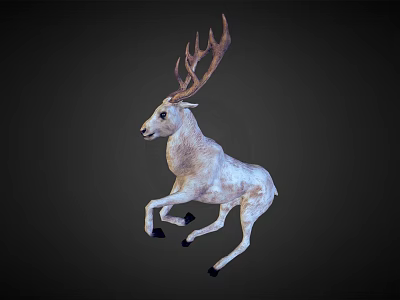 White Deer With Large Antlers 3D Model In Standing Pose On Dark Background 3d model