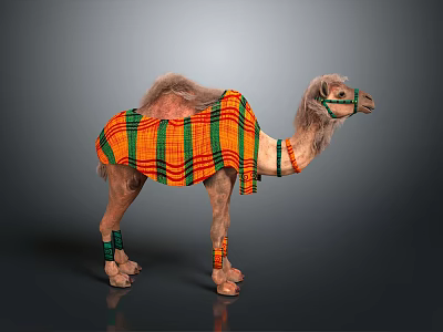 Decorated Camel With Colorful Orange And Green Striped Blanket Green Headband And Leg Decorations 3d model