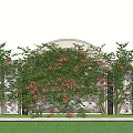 Lush Vines With Red Flowers Adorning Arched White Structure And Green Lawn