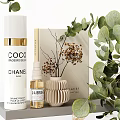 Daily Skincare And Bath Essentials On Organized Shelf With Eucalyptus Plant And Pampas Grass