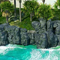 Tropical Coastal Garden Landscape With Palm Trees Rocky Cliffs And Ocean Waves
