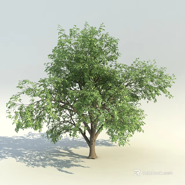 Vibrant Green Arbor With Lush Dense Foliage And Strong Brown Trunk 3d model 