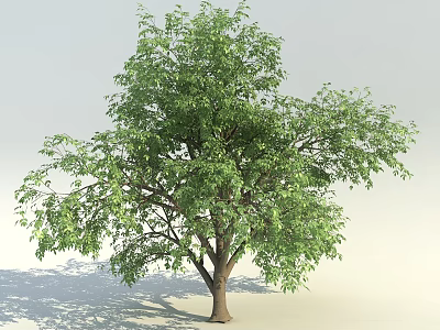 Vibrant Green Arbor With Lush Dense Foliage And Strong Brown Trunk 3d model
