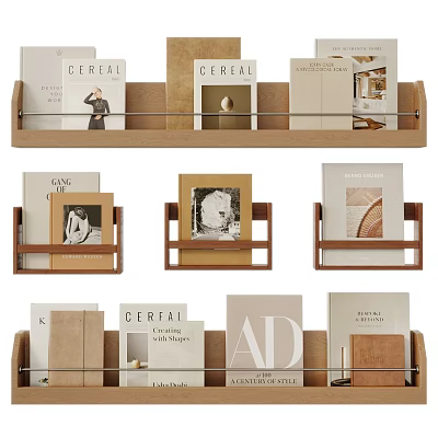 Books And Magazines Display On Stylish Wooden Shelves With Various Covers And Designs 3d model
