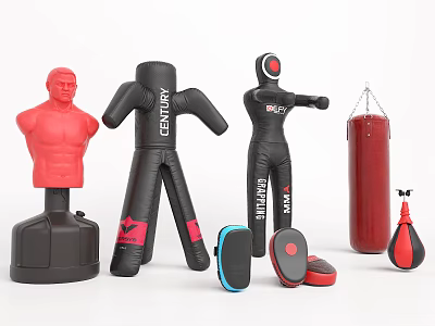 Boxing Training Sports Equipment With Standing Hanging Punching Bags Gloves And Speed Ball 3d model