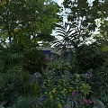 Lush Tropical Garden Plants With Vibrant Blooms And Green Foliage In Outdoor Landscape