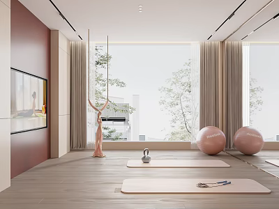 Modern Home Fitness Studio With Aerial Yoga Ring Pink Exercise Balls And Yoga Mats 3d model