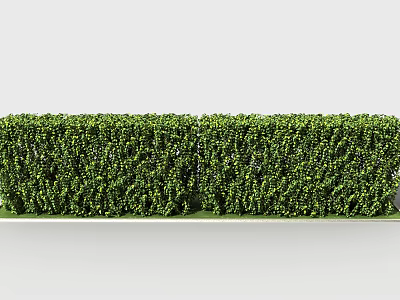 Well Trimmed Lush Green Shrub Hedge Enhancing Outdoor Garden Landscape Design 3d model