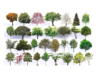 Various Types of Arbor Trees with Different Leaf Colors Shapes and Sizes for Garden Landscaping 3d model