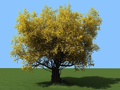Lush Arbor With Vibrant Yellow Leaves Against Blue Sky And Green Grass 3d model