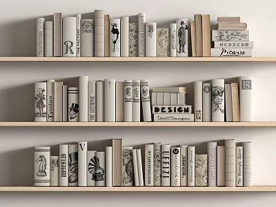 Elegant Modern Design Books And Magazines On Wooden Layered Shelf Collection 3d model