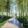 Scenic Wooden Walkway Through Lush Bamboo Forest With Green Grass And Stones