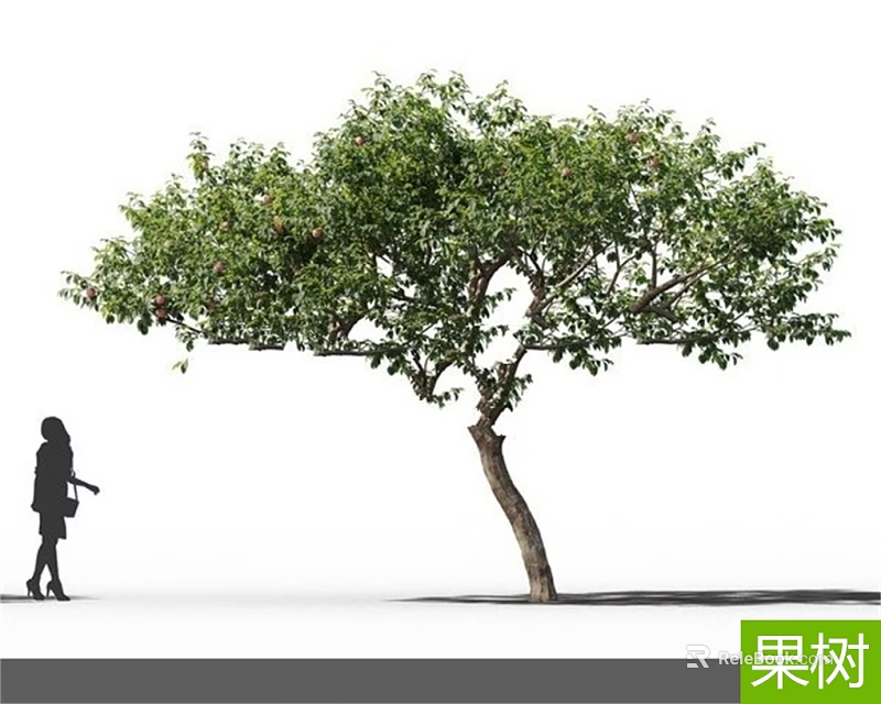 Vibrant Fruit Tree With Lush Green Leaves And Red Fruits Beside Walking Silhouette 3d model 