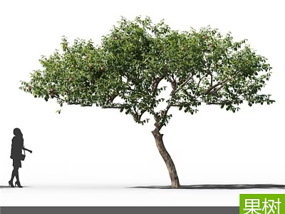 Vibrant Fruit Tree With Lush Green Leaves And Red Fruits Beside Walking Silhouette 3d model