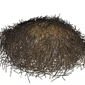 Dried Flowers And Grass Pile With Natural Fibrous Texture And Organic Look