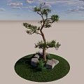 Single Tree With Green Grass And Gray Stones Under Blue Sky And Clouds