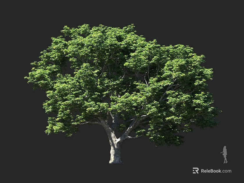 Large Leafy Arbor With Dense Green Foliage Thick Trunk And Human Figure For Scale 3d model 