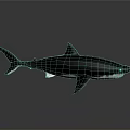 Metallic Shark Swimming Pose With Detailed Fins Dark Background Clear Reflection