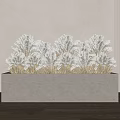 Bonsai Potted Plants in Rectangular Marble Planter with Brown Green Leaves Light Wall Wooden Floor