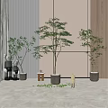Modern Interior Featuring Various Bonsai Potted Plants With Concrete Pots And Scattered Leaves