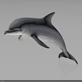 Leaping Dolphin 3D Model With Light Gray Color Dark Background And Reflection 3d model
