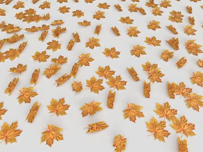 Vibrant Orange Yellow Autumn Maple Leaves Scattered On Clean White Background 3d model