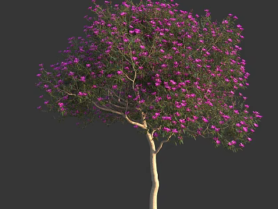 Vibrant Blooming Tree With Abundant Purple Flowers And Light Trunk Against Dark Background 3d model