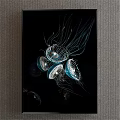 Multiple Glowing Transparent Jellyfish With Blue Tentacles Floating On Black Background