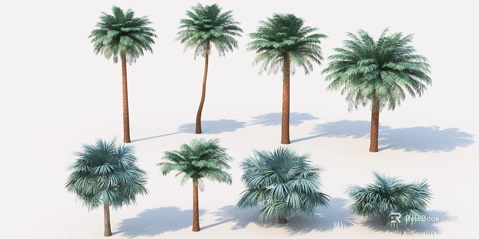 Various Types Of Palm Trees With Different Growth Forms And Green Fronds 3d model 