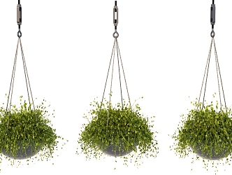 plant hanging basket plant pendant potted plant 3d model