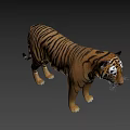 Realistic 3D Model Of A Standing Tiger With Striped Fur And Detailed Features