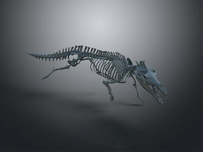 Dinosaur Skeleton In Dynamic Running Pose With Anatomical Structure Details 3d model