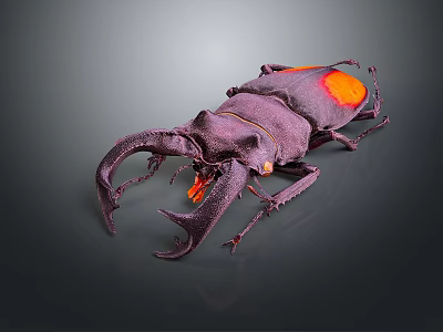 Vibrant Purple Orange Beetle With Large Pincers Glossy Exoskeleton And Detailed Texture 3d model