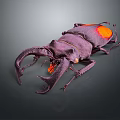 Vibrant Purple Orange Beetle With Large Pincers Glossy Exoskeleton And Detailed Texture