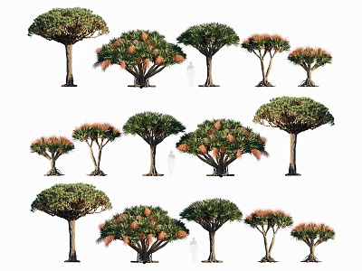 Various Shaped Trees With Green Canopies and Orange Fruits in Different Sizes 3d model