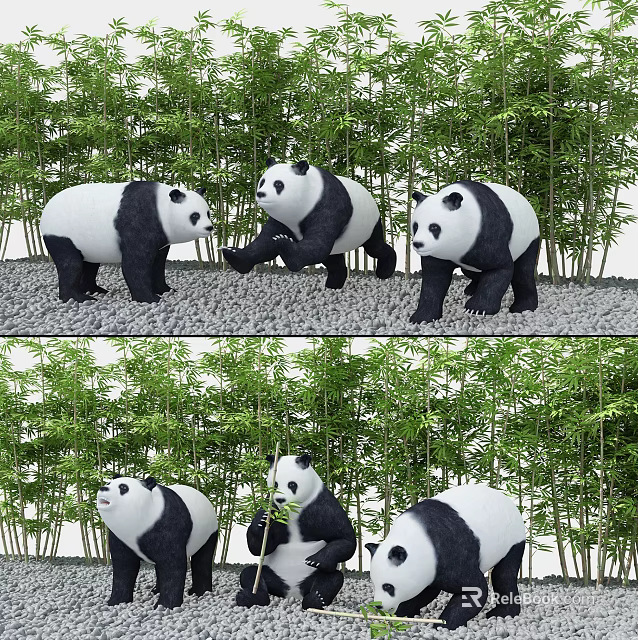 Giant Pandas Interacting And Feeding On Bamboo In Natural Forest Environment 3d model 