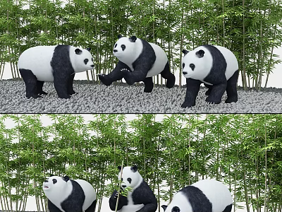 Giant Pandas Interacting And Feeding On Bamboo In Natural Forest Environment 3d model