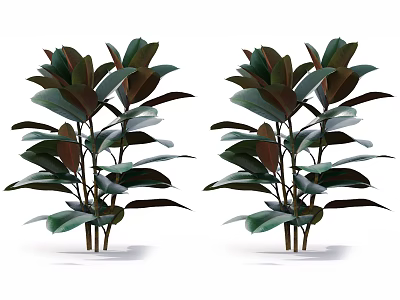 Two Leafy Green Plants With Purple Edged Leaves And Thick Stems 3d model
