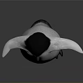 Cute Black And White Penguin Plush Toy With Outstretched Wings Standing On Gray Background