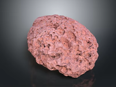 Red Porous Wood Stone With Natural Texture For Home Decorative Applications 3d model