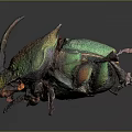 Vibrant Iridescent Beetle With Horned Exoskeleton And Colorful Shell Details Isolated On Dark Background