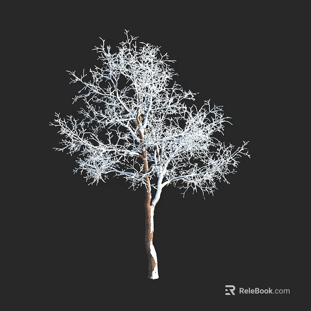 Leafless Tree With Brown Trunk And White Branches On Black Background 3d model