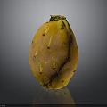 Orange Yellow Prickly Pear Fruit With Small Spines On Dark Background Surface