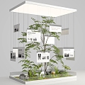 Landscape tree small landscape trees landscape window beautiful landscape plants commercial landscape display area tree plant combination 3d model